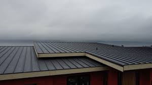 Fast & Reliable Emergency Roof Repairs in Lapwai, ID